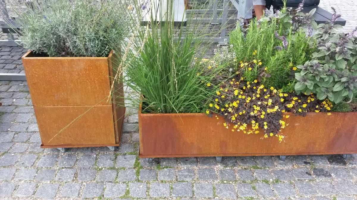 Rektangulære cortenstål plantekasser med urter