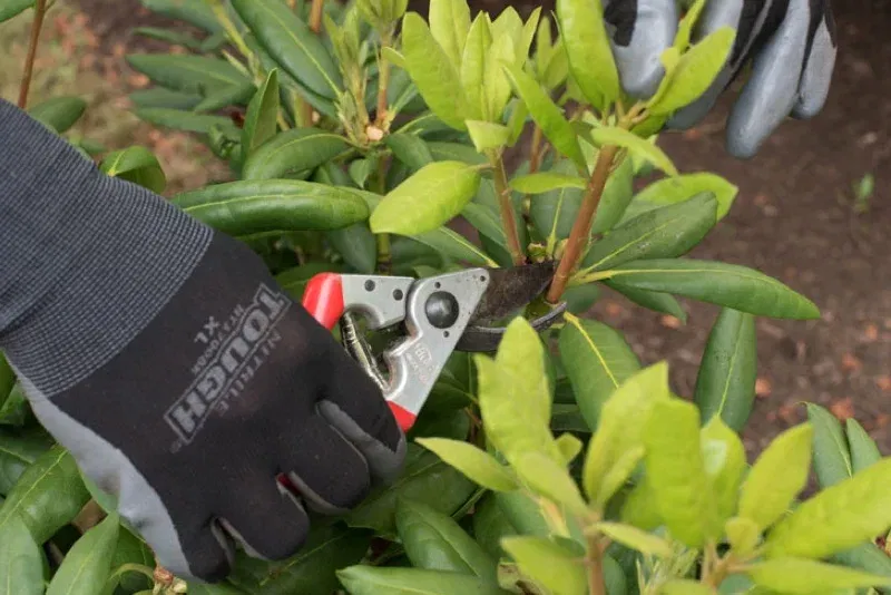 2268d5b39743fdcbf40f10c95827a981