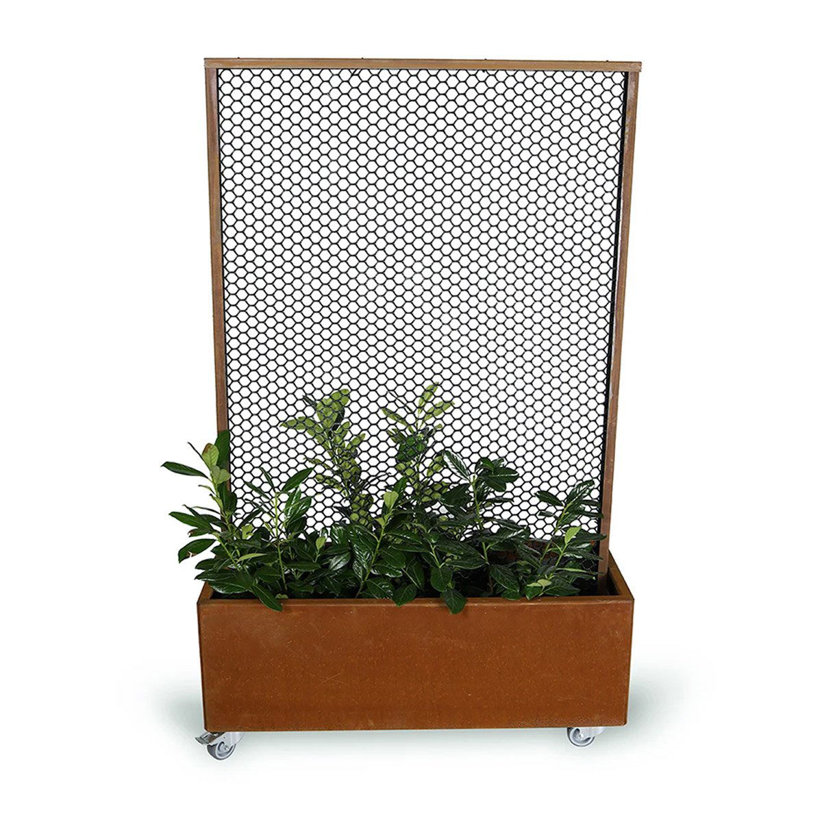 Land Modern Mobil Plantekasse Med Espalier Cortenstål Ruster Med Bund Hjul 180
