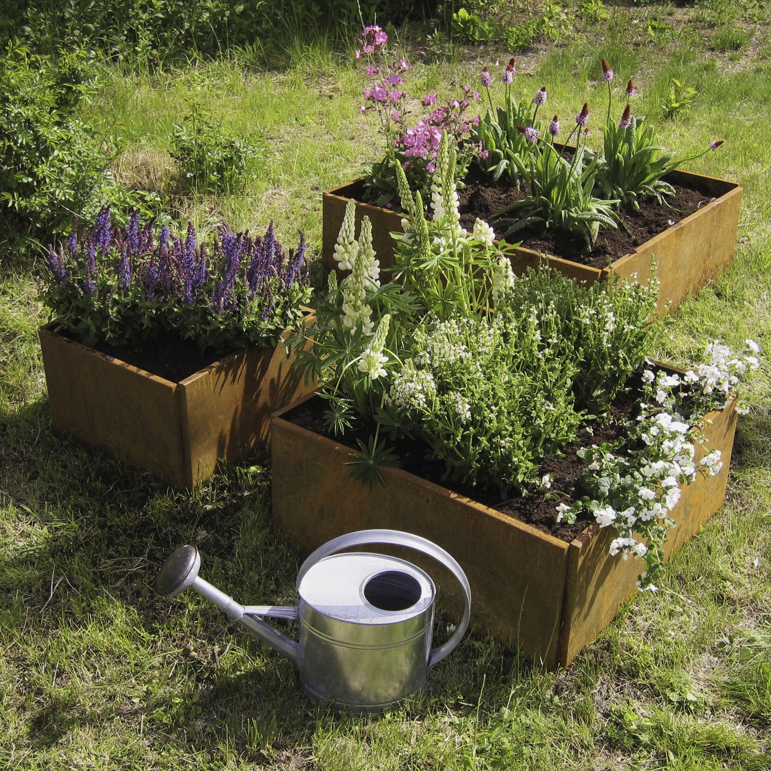 Tre højbede i cortenstål med blomster og vandkande