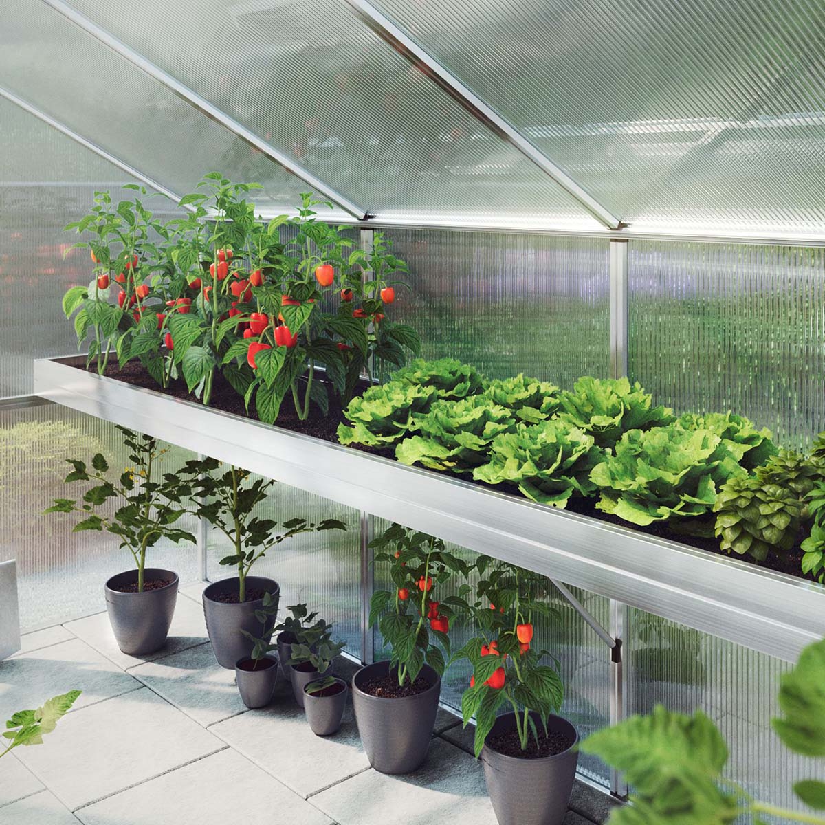 Plantebakke - Orchidee III