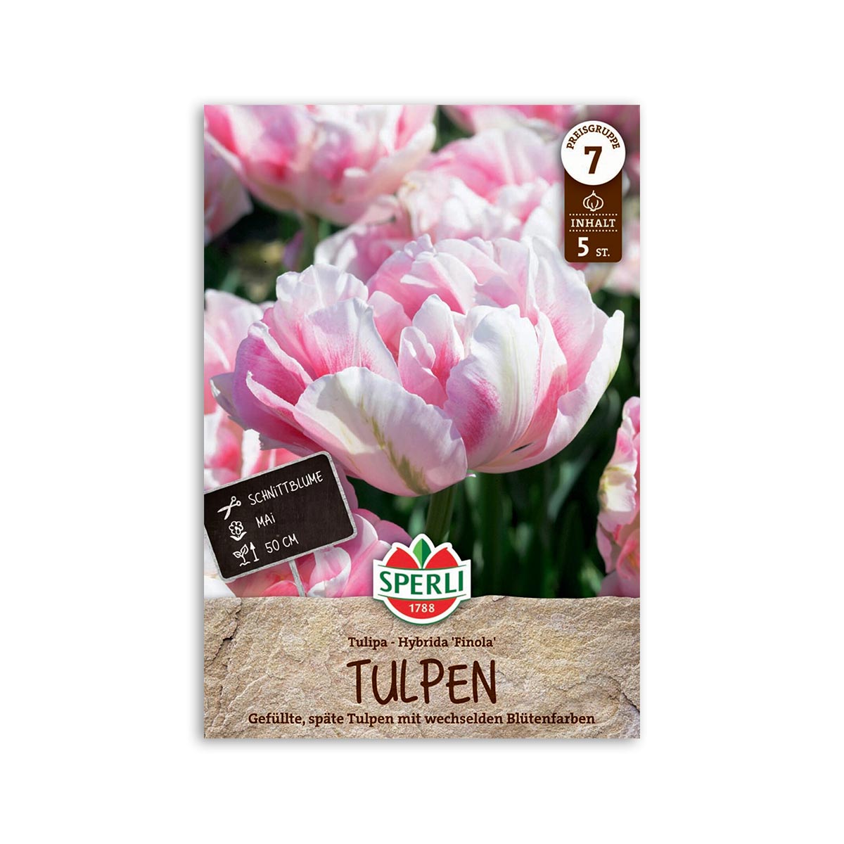 Tulipan "Finola" - 5 løg