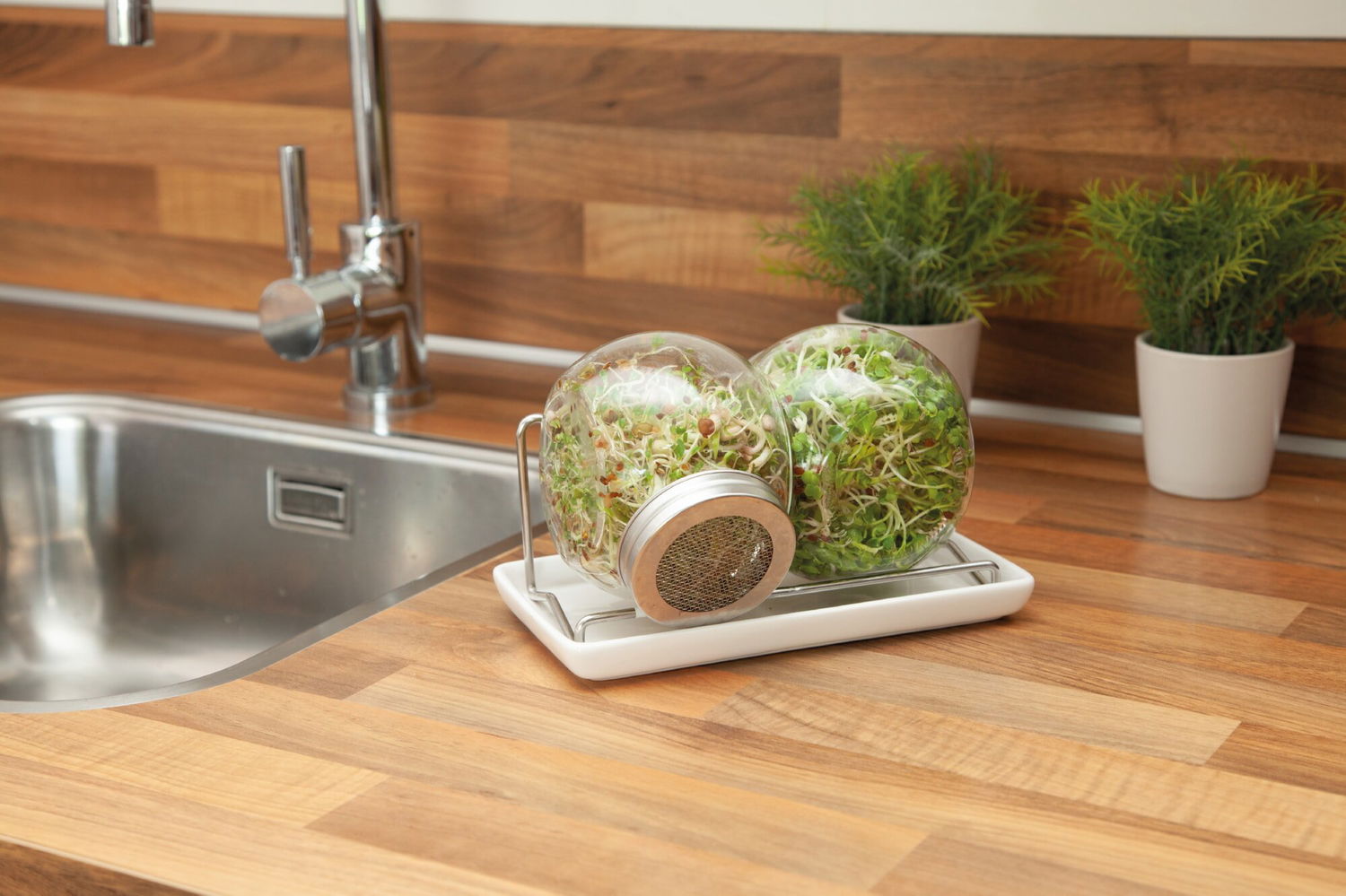 Dobbelt spireglas på drypbakke i køkken