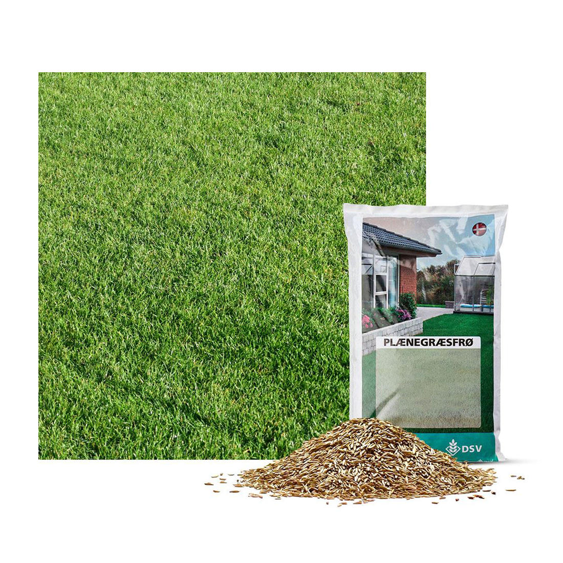 Sæk med plænegræsfrø foran tæt grøn græsplæne