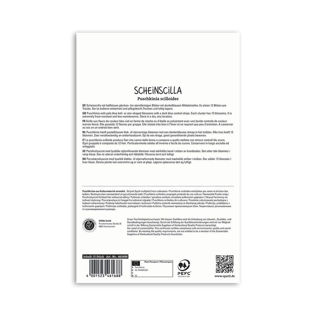 Bagside af Puschkinia scilloides blomsterløgpakkе 15 stk