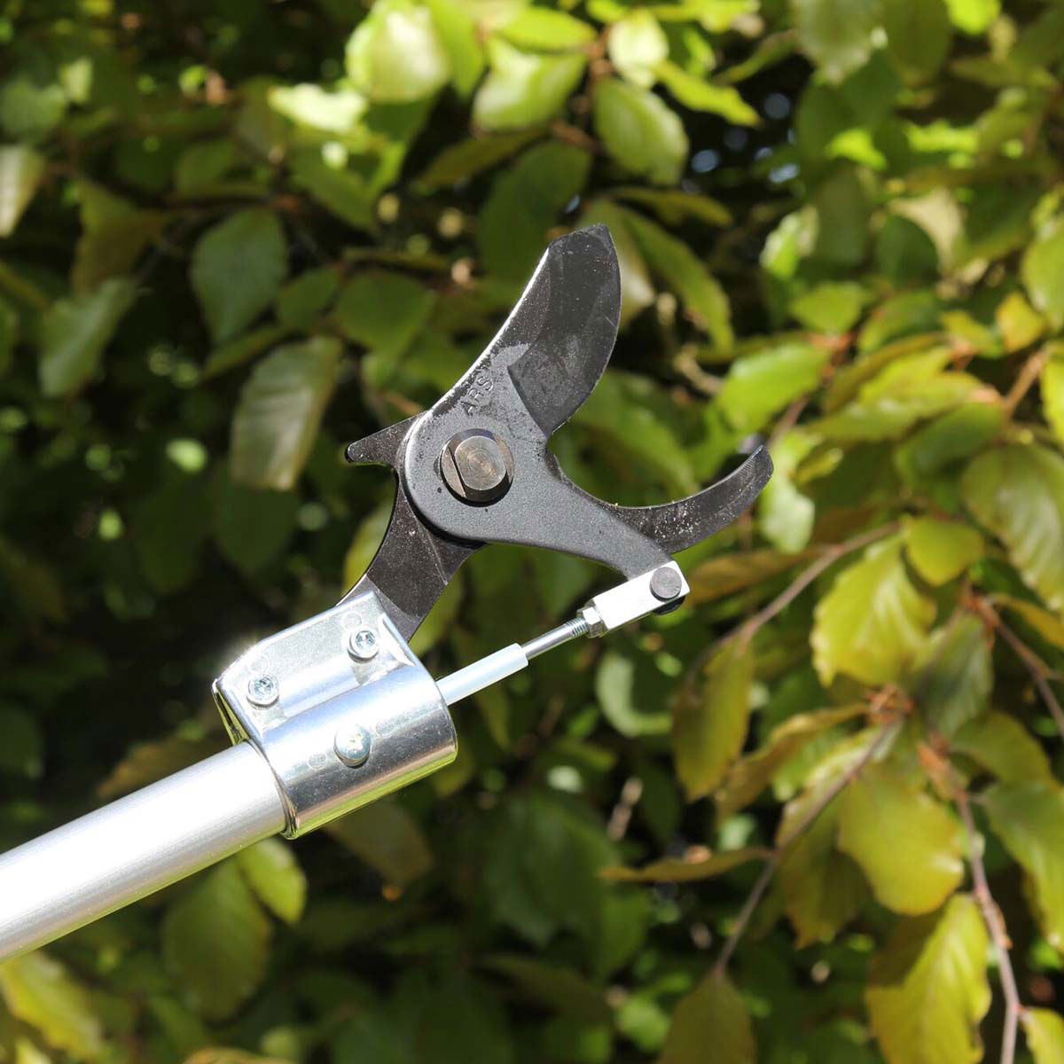 Teleskop grensaks i brug på trægren