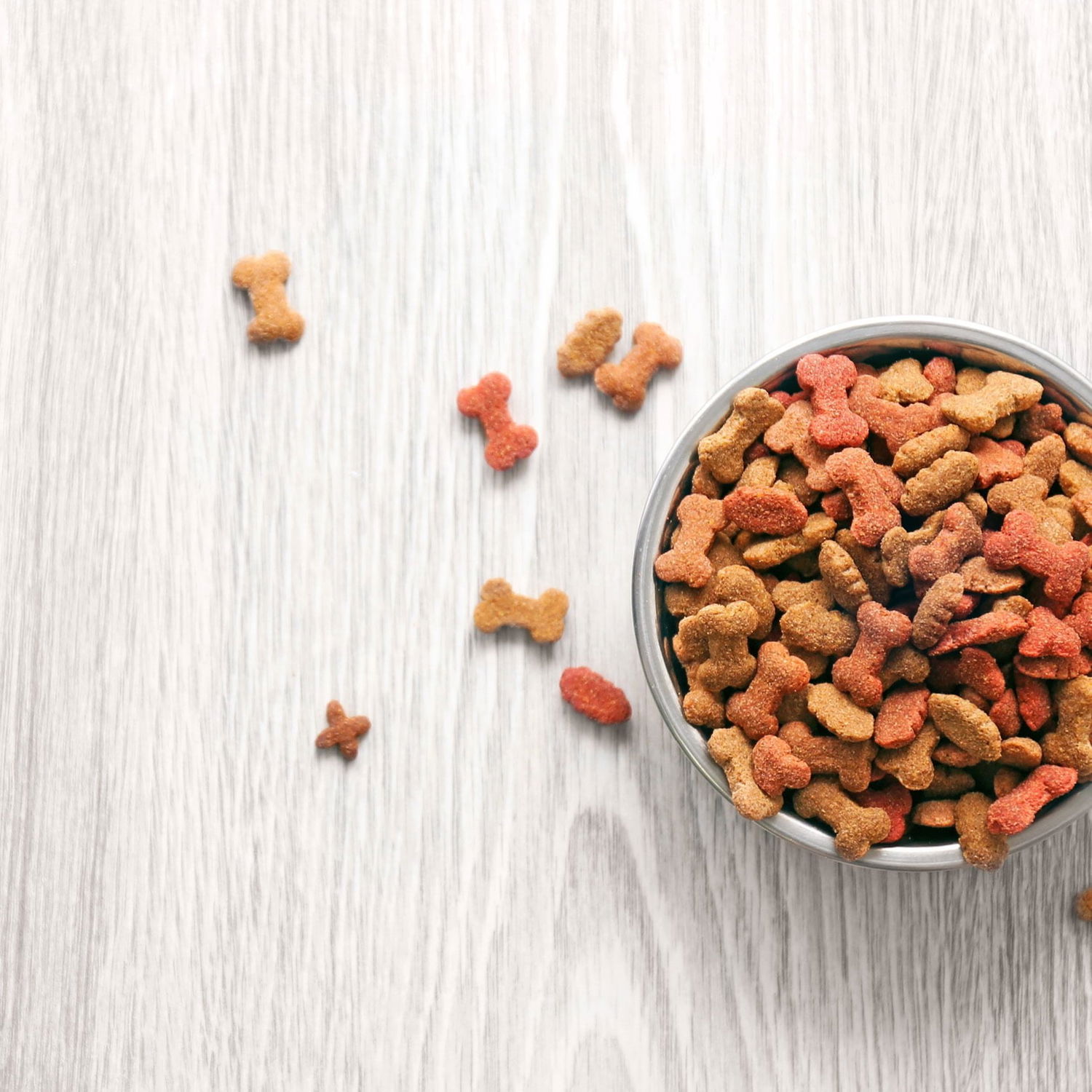 Stålskål med små benformede hundekiks