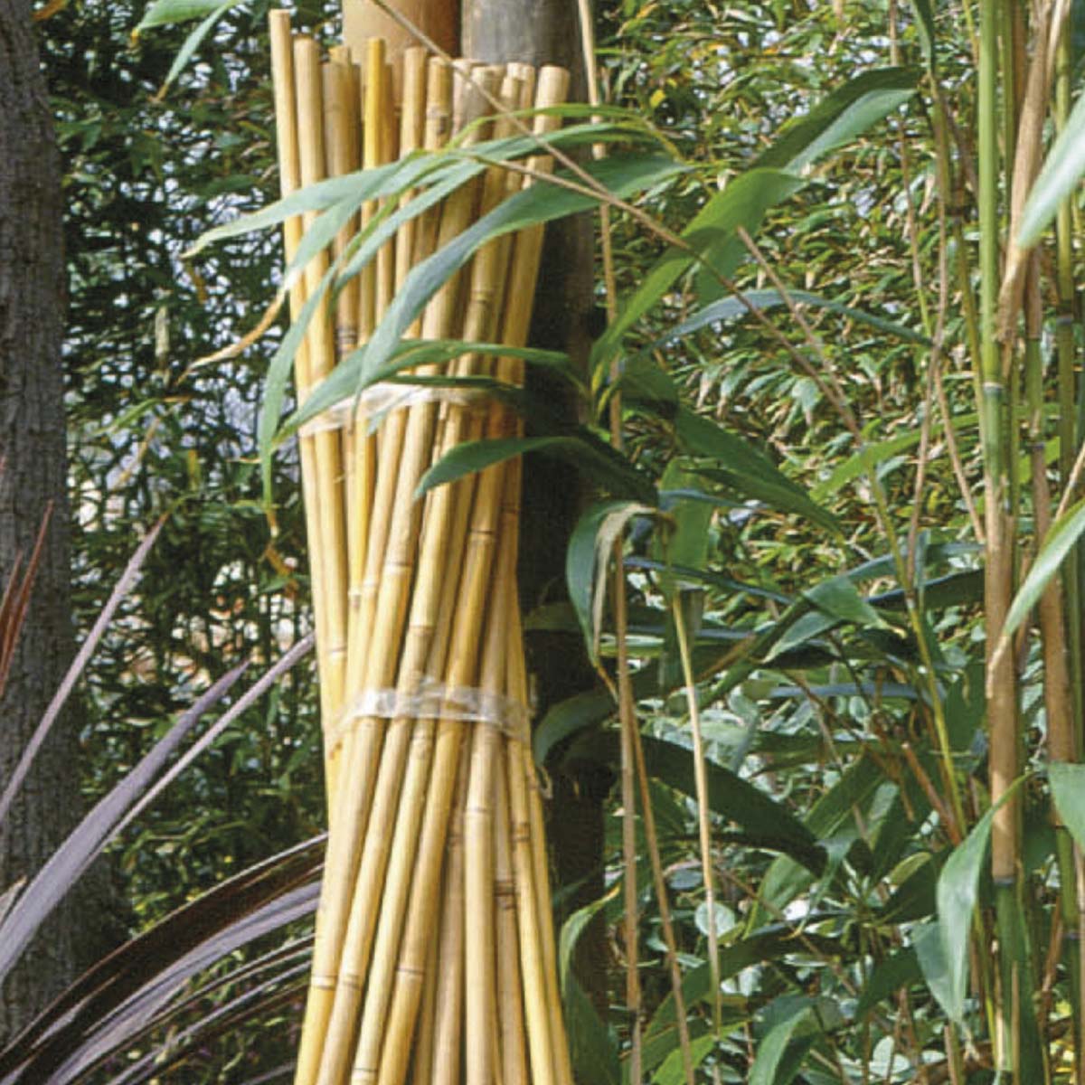 Bundt lyse bambuspinde til planterne i haven