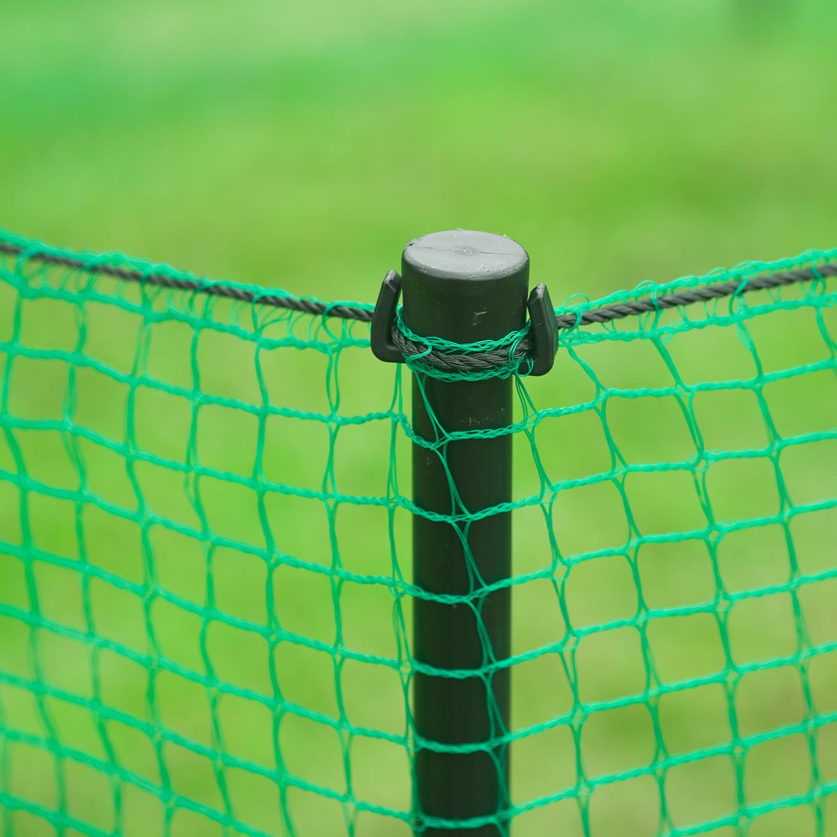 Nærbillede af grønt plasthegn på sort stolpe