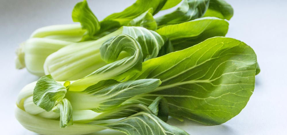 dyrkning-af-pak-choi dyrkning-af-pak-choi