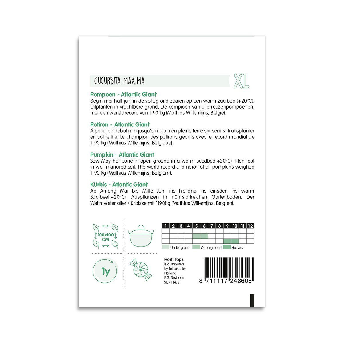 Pose med Atlantic Giant græskarfrø og dyrkningsvejledning