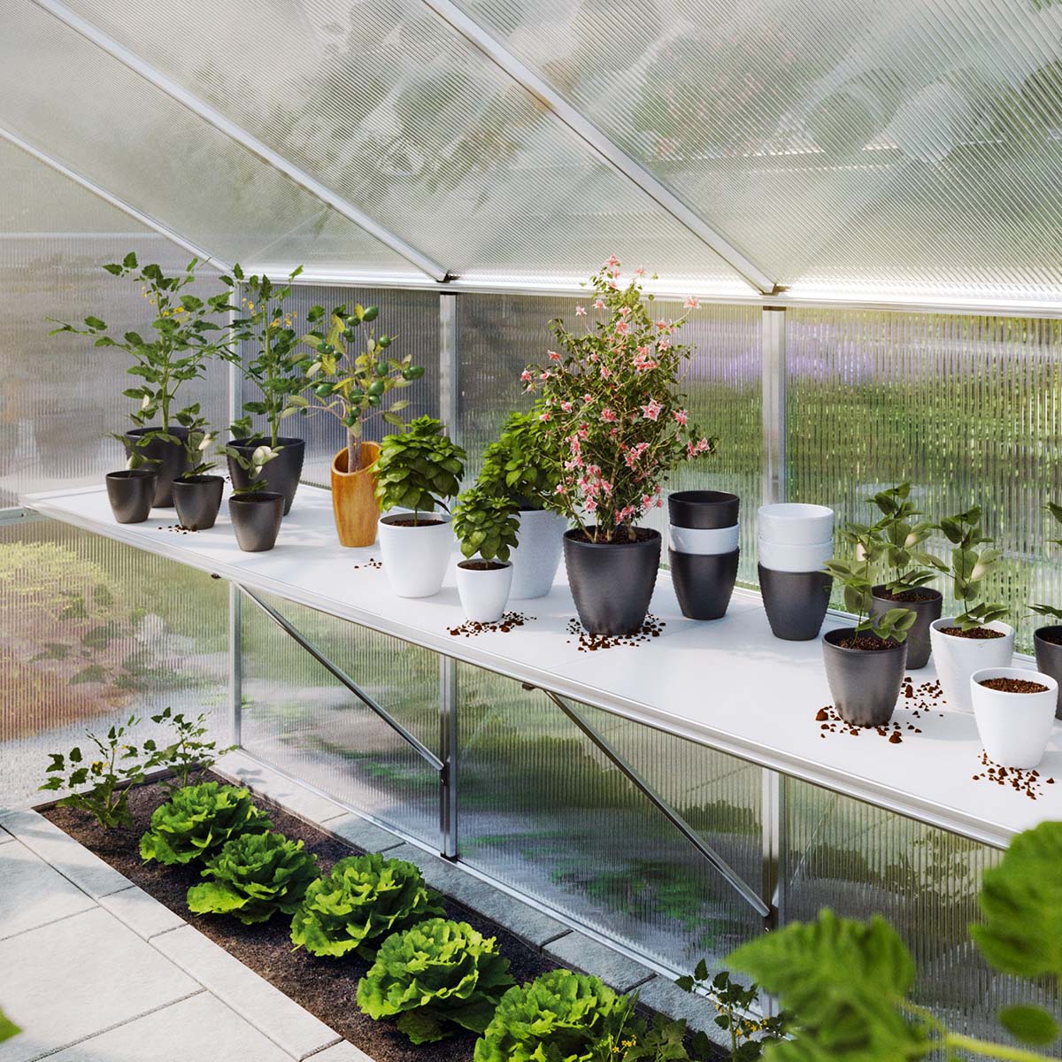 Bordstativ - Orchidee III