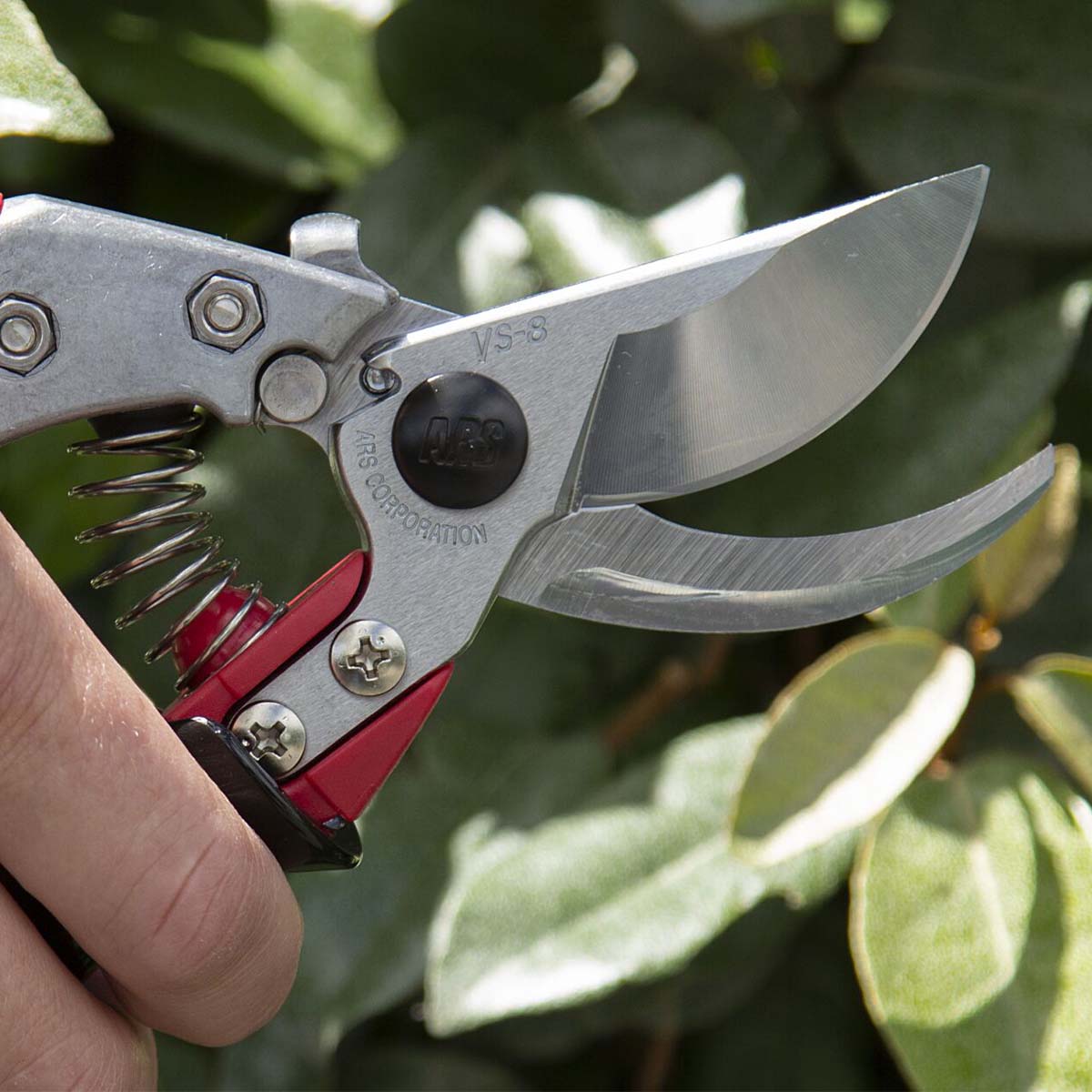 Håndholder skarp beskæresaks i haven