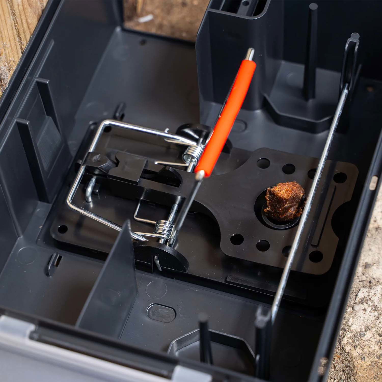 Musefælde med lokkekasse og lokkemad