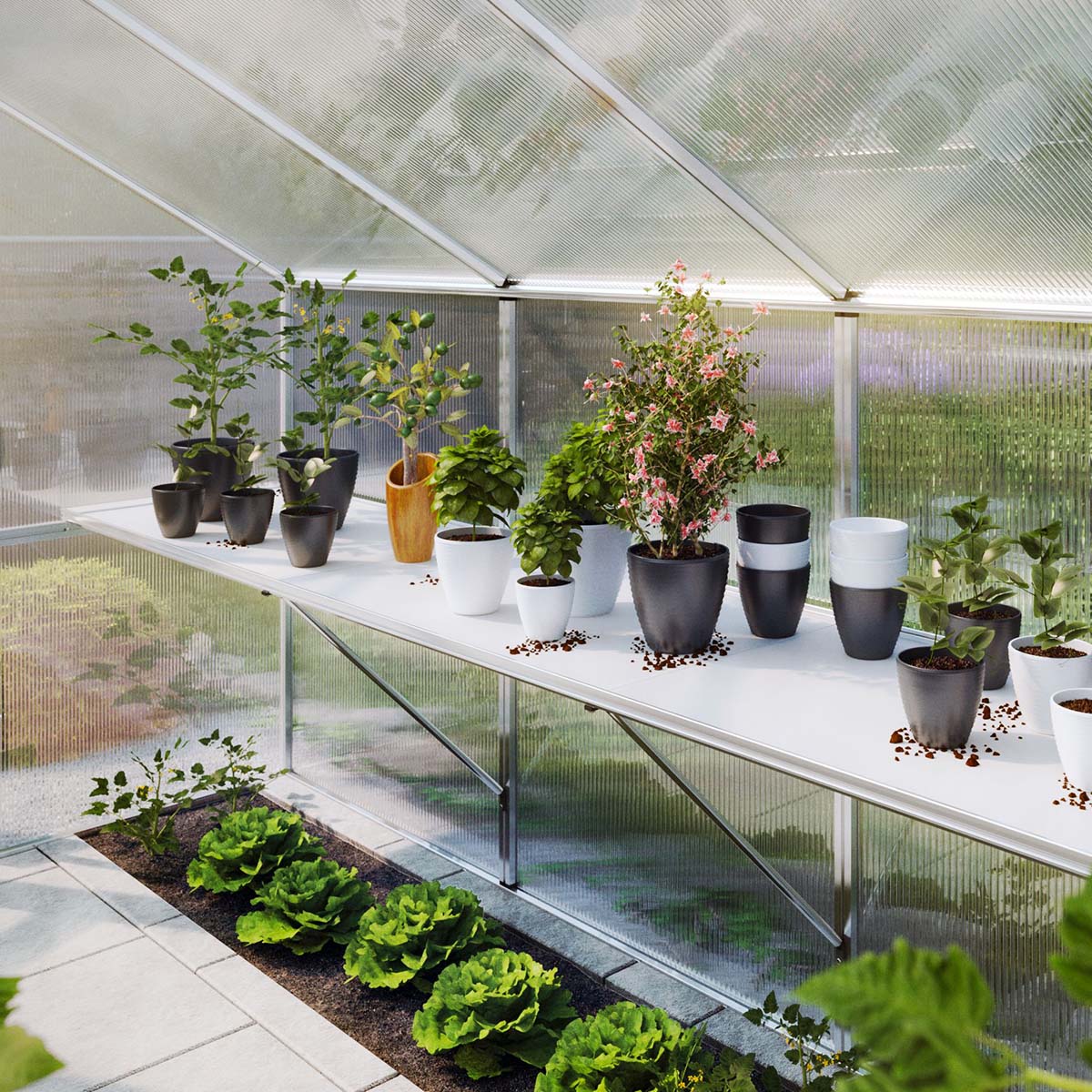 Bordstativ - Novum III